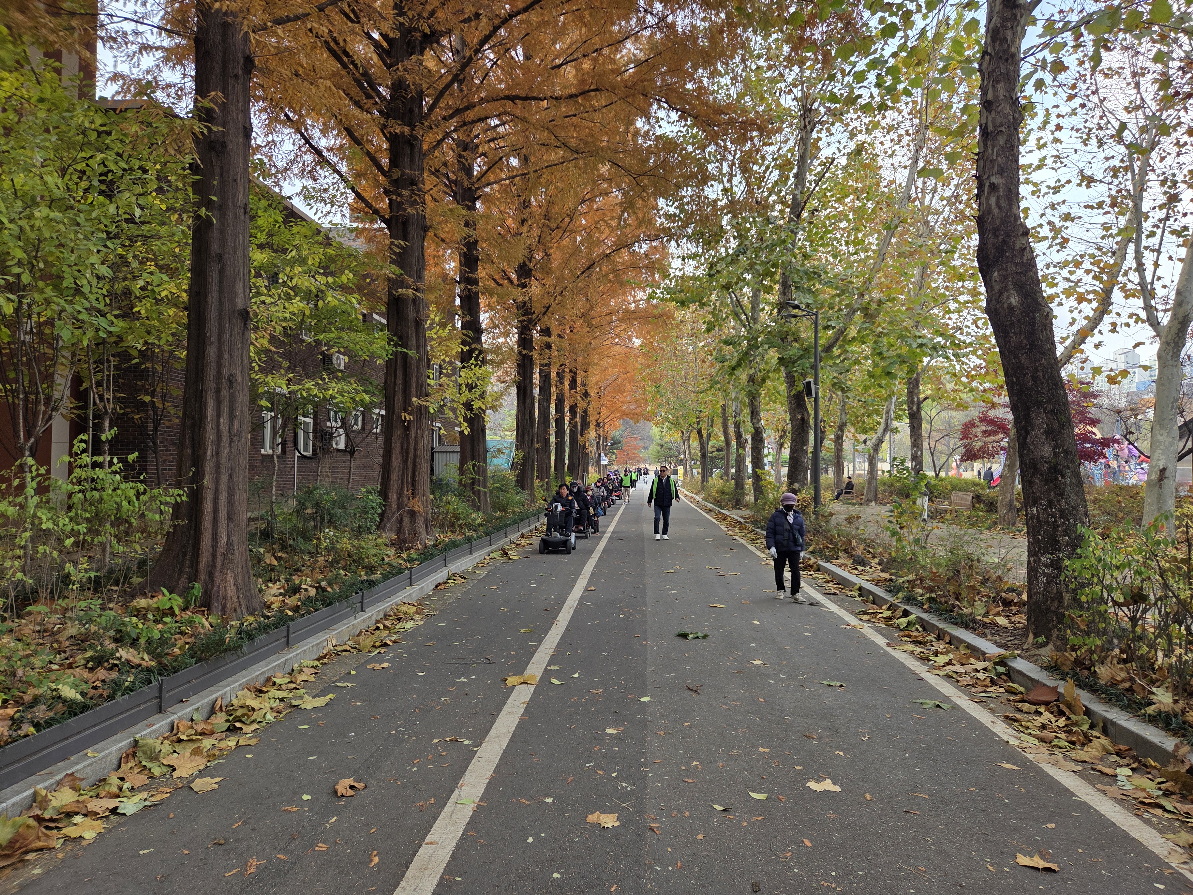 전동보장구 (점검, 클린)서비스 7