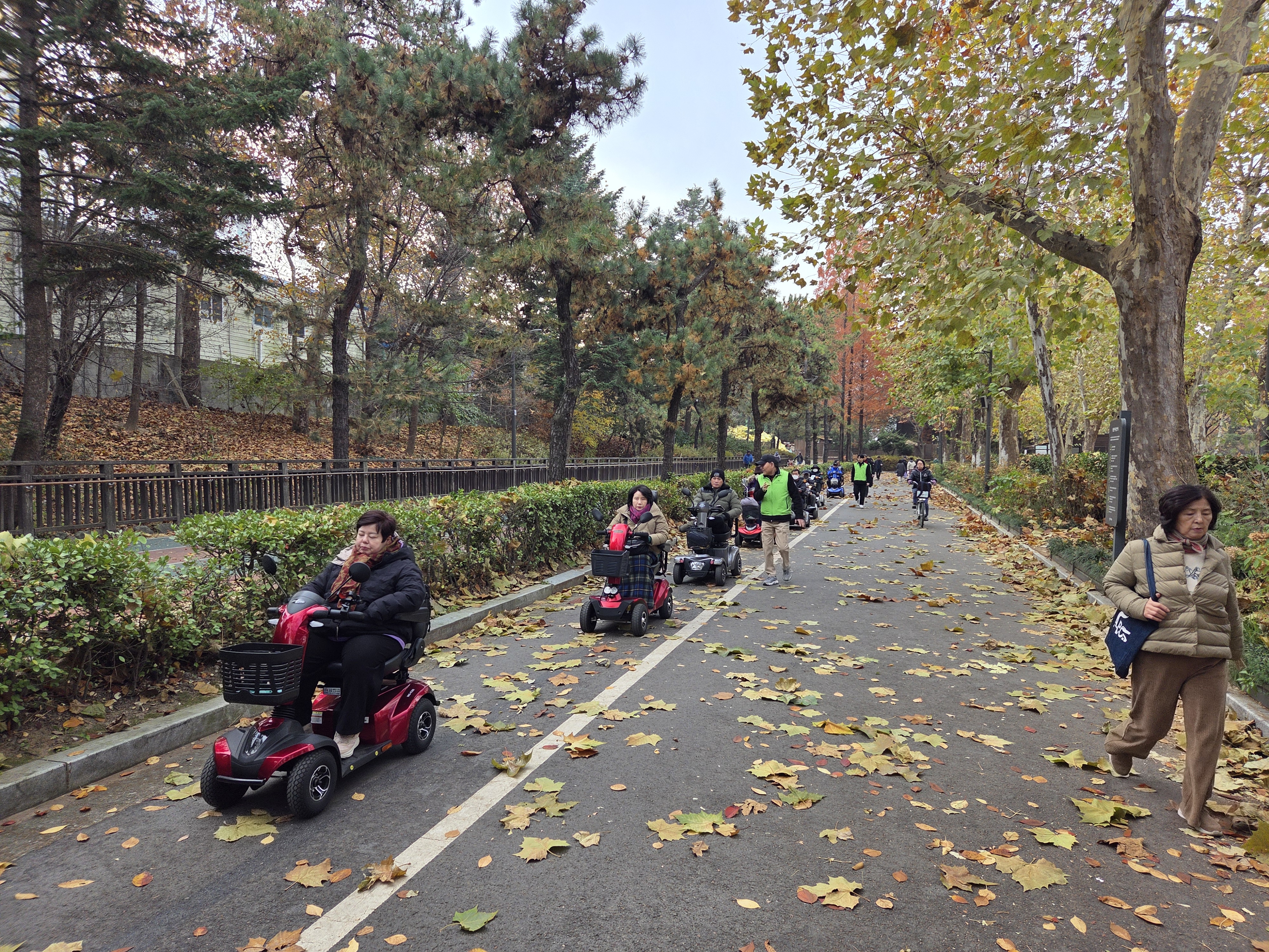 전동보장구 (점검, 클린)서비스 8